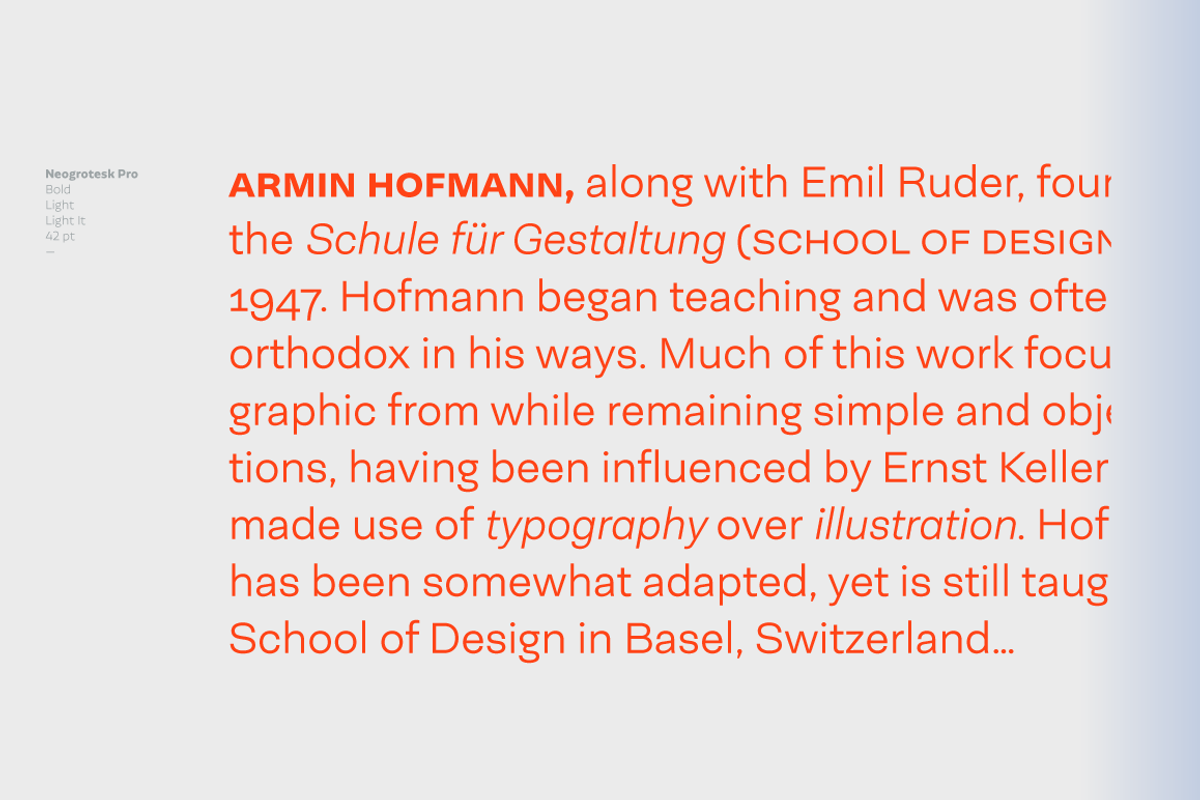 Neogrotesk, a Sans Serif Font by Los Andes Type (Photo 13 of 15)