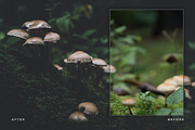 Artist Series – Lightroom Bundle 03, an Action Add-On by PhotoMarket (Thumbnail 7 of 21)