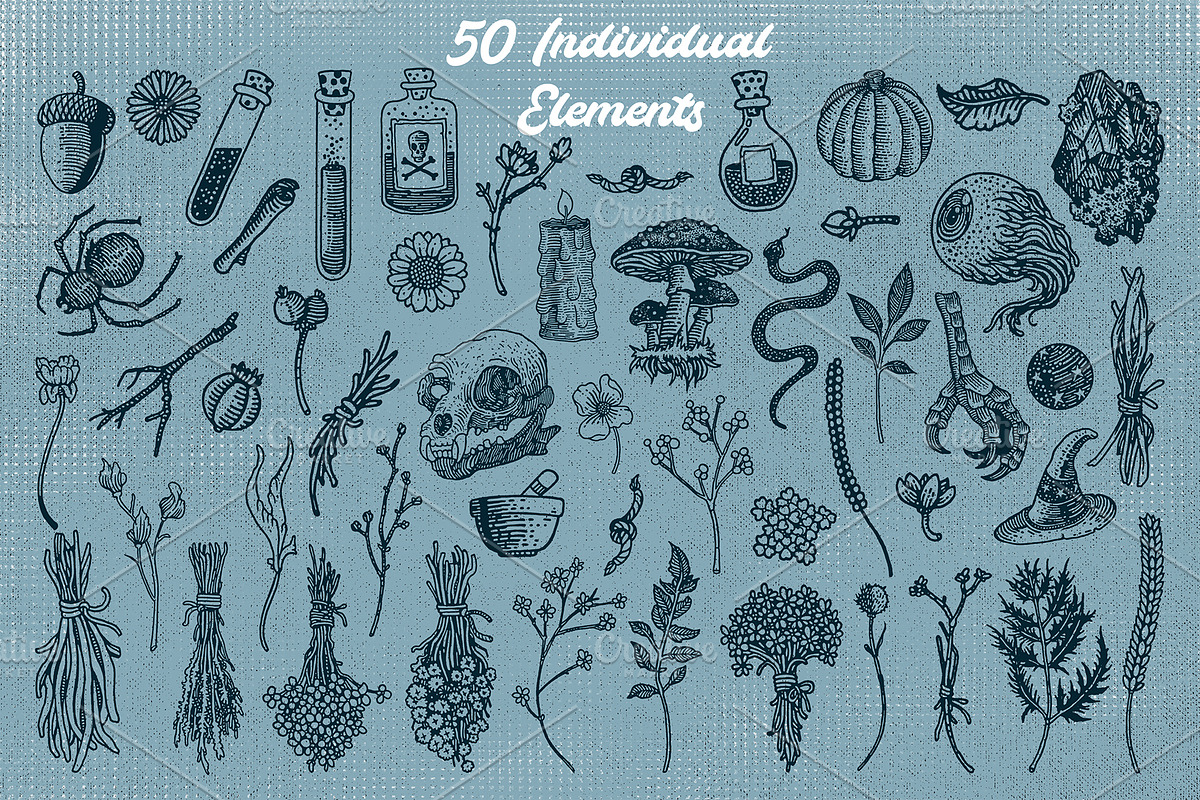 Apothecary Doodles, an Illustration by Soir Creative (Photo 5 of 7)