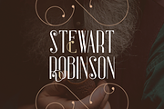 Sorcha Display font + Swashes, a Font by VP Fonts (Thumbnail 3 of 14)