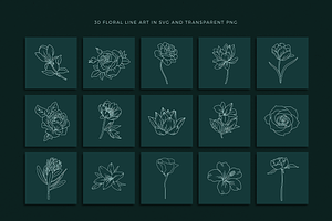 Floral Logo Line Art Set