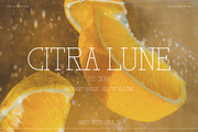 BD Holiday & Picnic, a Slab Serif Font by Brandear Design (Thumbnail 12 of 16)