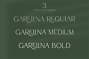 Garelina | Modern Serif Font, a Serif Font by Rissyletter Studio (Thumbnail 6 of 11)