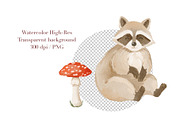 Watercolor Raccoon Clipart PNG, an Animal Illustration by ArtGiftsStudio (Thumbnail 5 of 5)