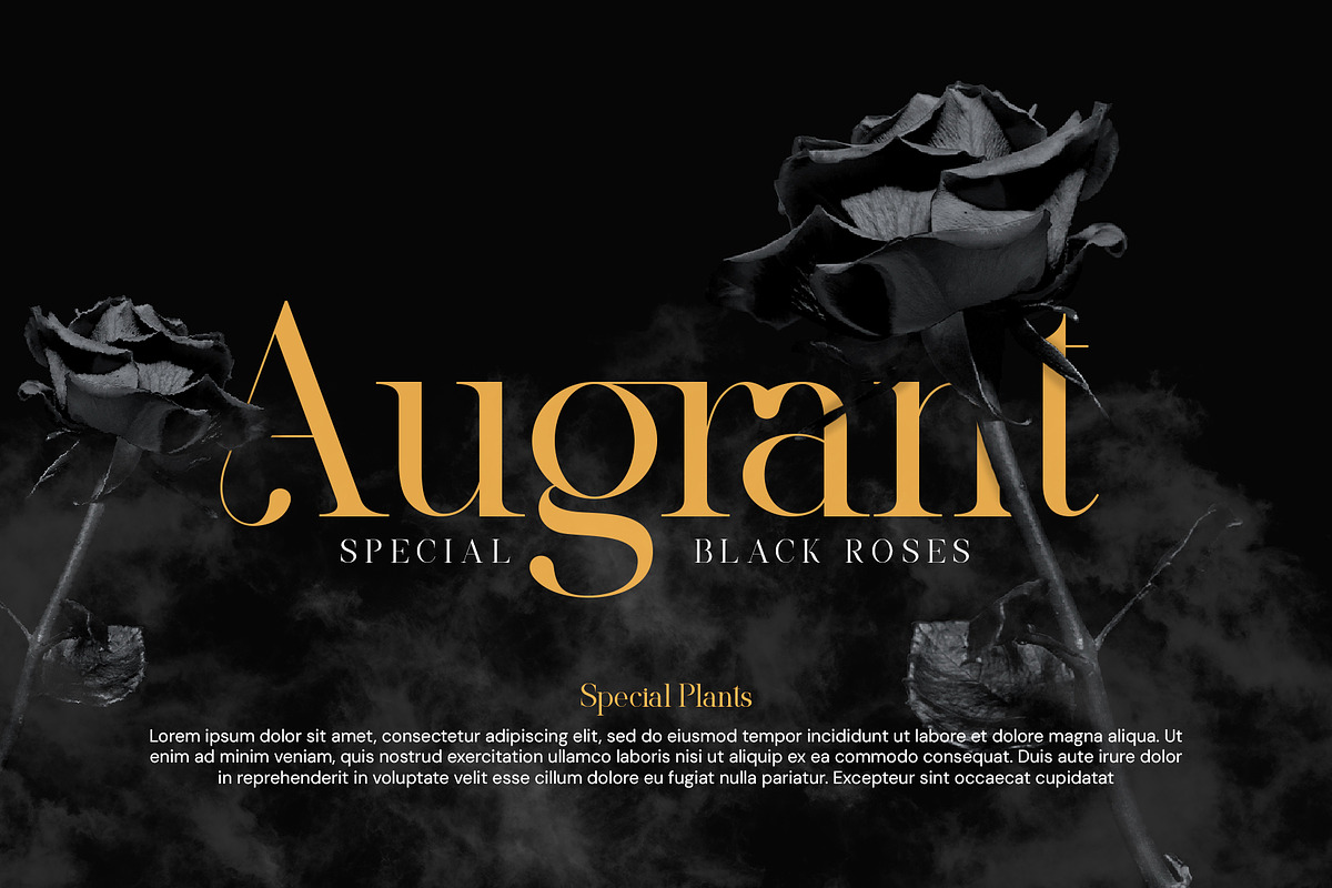 Klivora - Elegant Serif Font, a Serif Font by Idea Studio (Photo 5 of 14)