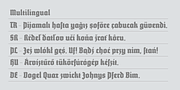 Vivala bl, a Blackletter Font by VivalaType (Thumbnail 5 of 7)