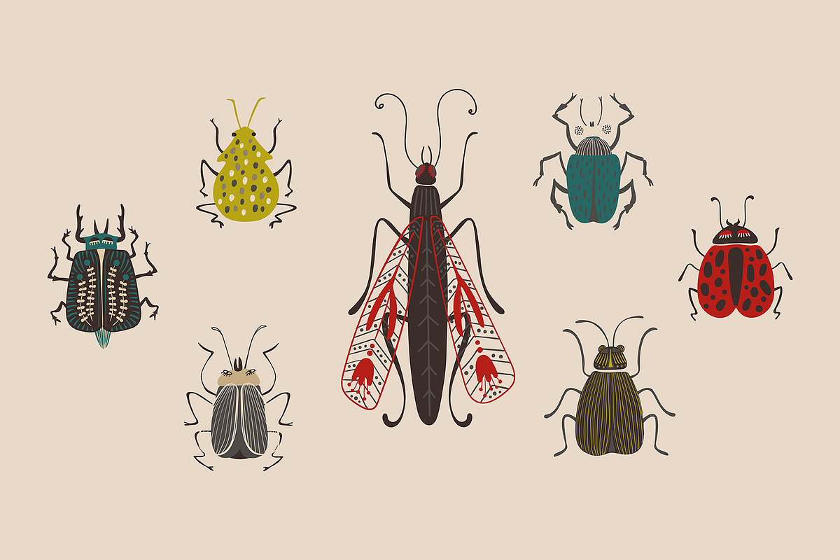 Folk Art Insects., an Animal Illustration by Annakniaz (Photo 4 of 15)