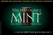 Swansea Font, a Serif Font by Mysterylab Designs (Thumbnail 4 of 9)