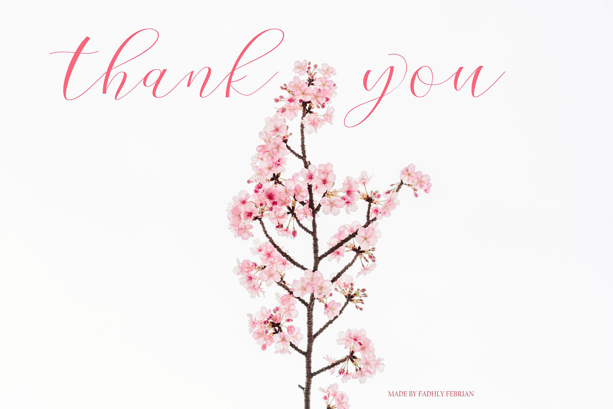Cherry Blossom, a Script Font by Funtype (Photo 9 of 9)