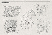 Raccoon sketches PNG, an Animal Illustration by LOKSKIH (Thumbnail 4 of 4)