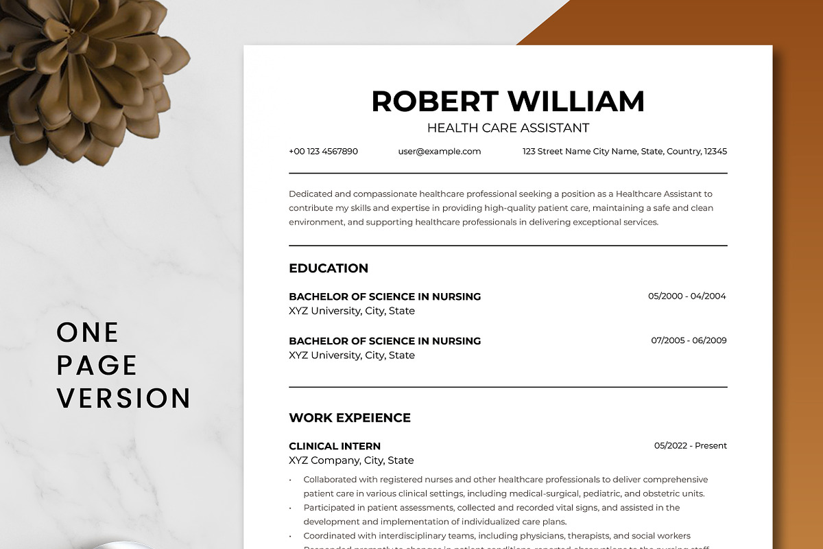 Health Care Assistant Resume Template preview 2
