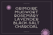 November Guest - An Edgy Serif, a Serif Font by Like Magic Studio (Thumbnail 6 of 10)