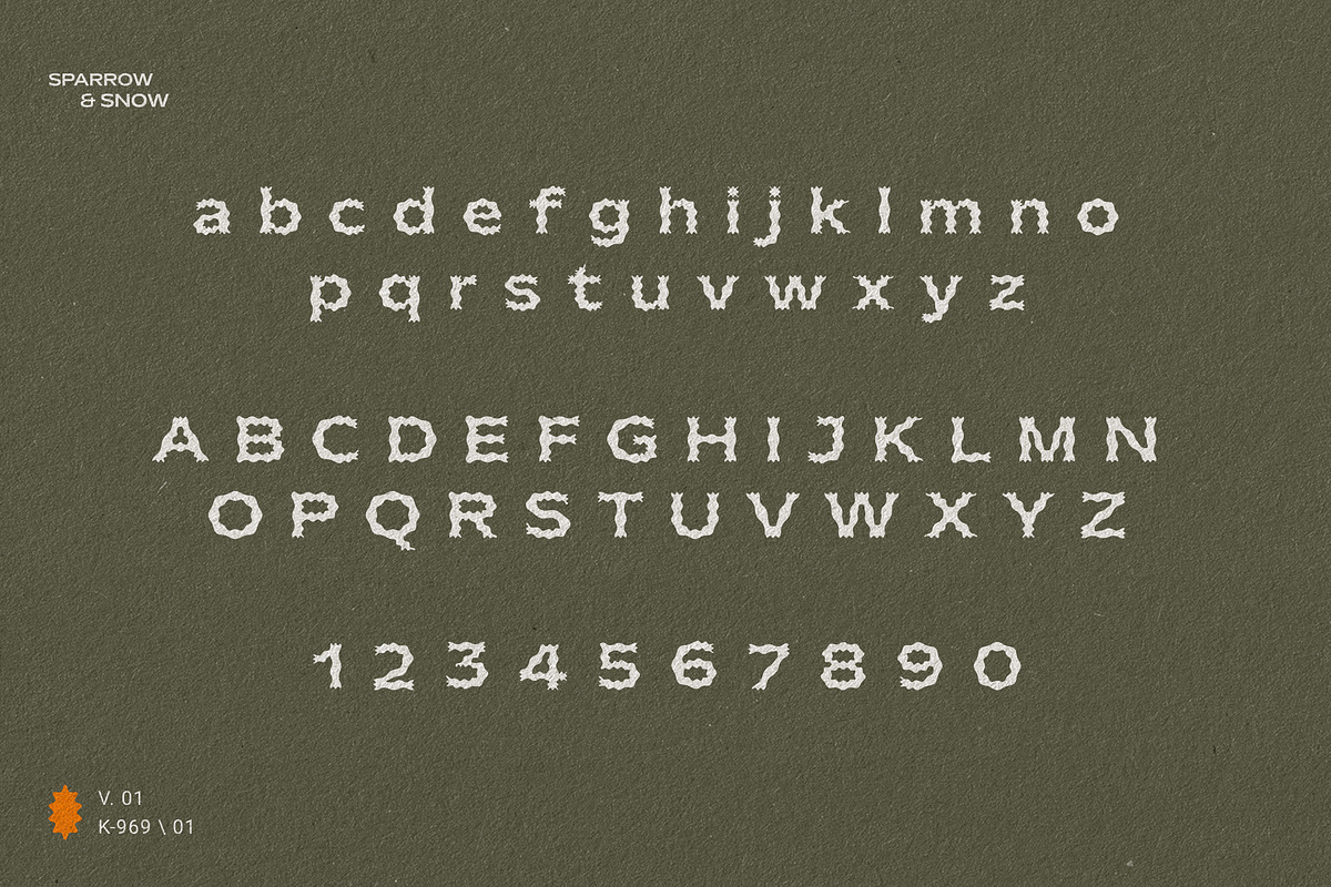 Plateau Font, a Font by Sparrow & Snow (Photo 5 of 15)