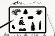 50 Tree Forest Procreate PNG SVG, a Brush Add-On by LaurenceVArtiste (Thumbnail 2 of 7)