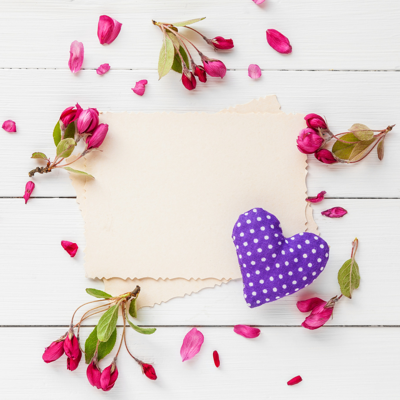 Empty photo, flowers and heart., an Arts & Entertainment Photo by ...