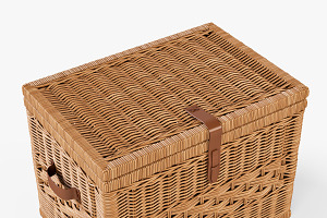 Wicker Storage Trunk 05 Toasted Oat