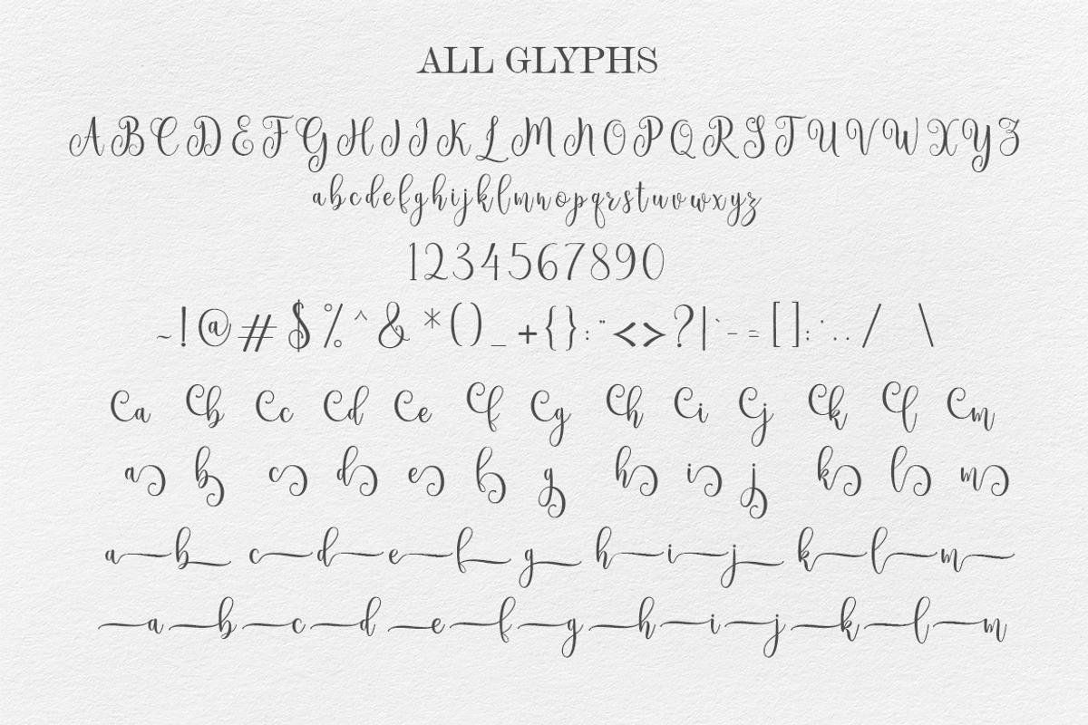 Ameline Script, a Script Font by Amarlettering (Photo 5 of 6)