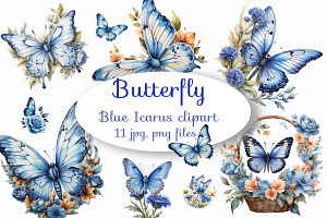 Cute Blue Butterfly Icarus