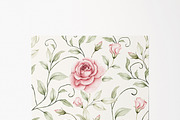 Watercolor Blush Roses Floral Set, a Decorative Illustration by Carol Lozove (Thumbnail 32 of 50)