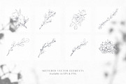 Bonnie Blue - Botanical Clipart, an Illustration by The Autumn Rabbit Ltd (Thumbnail 5 of 9)