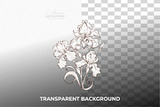 Iris Botanical Line Floral Vector, a Decorative Illustration by katmonne (Thumbnail 7 of 14)