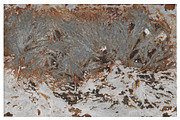 Corrosion Textures, a Texture Graphic by Blue Line Design (Thumbnail 13 of 13)