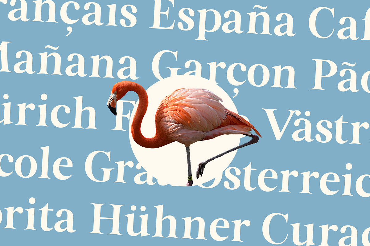 Altahera Display - Serif Display, a Serif Font by Indotype Foundry (Photo 5 of 10)