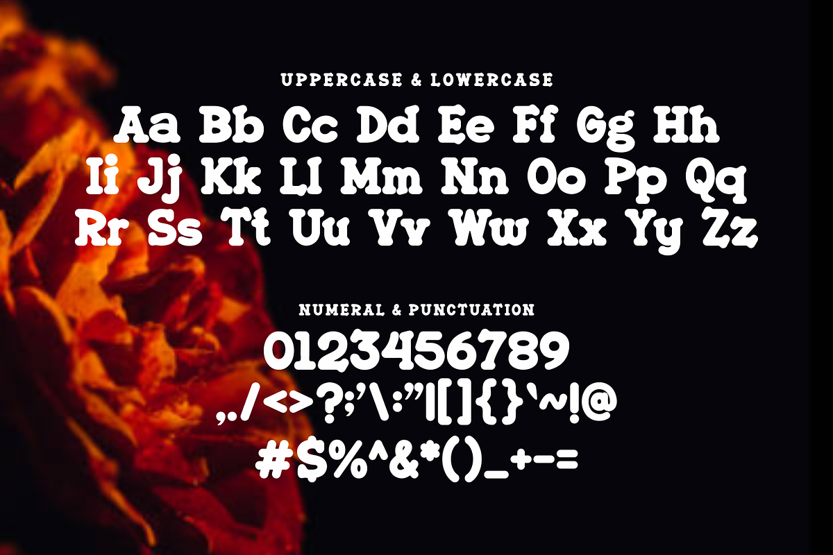 Ernimo, a Slab Serif Font by lelevien (Photo 2 of 5)