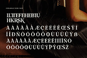 Clements Morgle Font Duo, a Serif Font by Storytype Studio (Thumbnail 13 of 15)