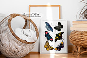 Butterflies Clipart Set, an Animal Illustration by Leonaa art (Thumbnail 2 of 12)