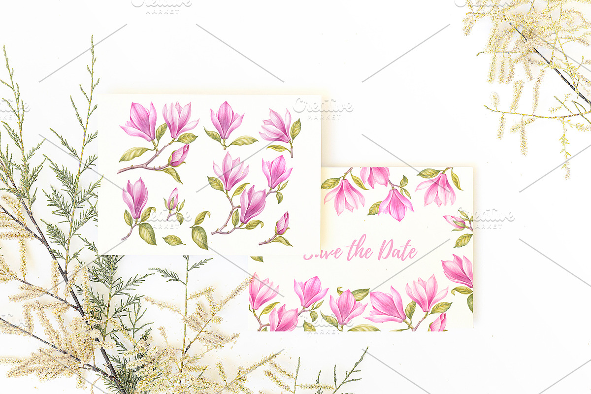 Watercolor of Blooming Magnolia, a Decorative Illustration by Kotkoa (Photo 5 of 5)