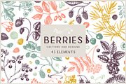 Berry Sketches. Berries Design Set, a Food Illustration by Yevheniia (Thumbnail 1 of 8)