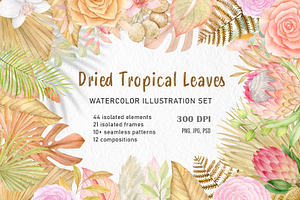 Tropical dried leaves set