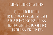 VSOP - elegant serif, 70 fonts, a Serif Font by VP Fonts (Thumbnail 19 of 21)