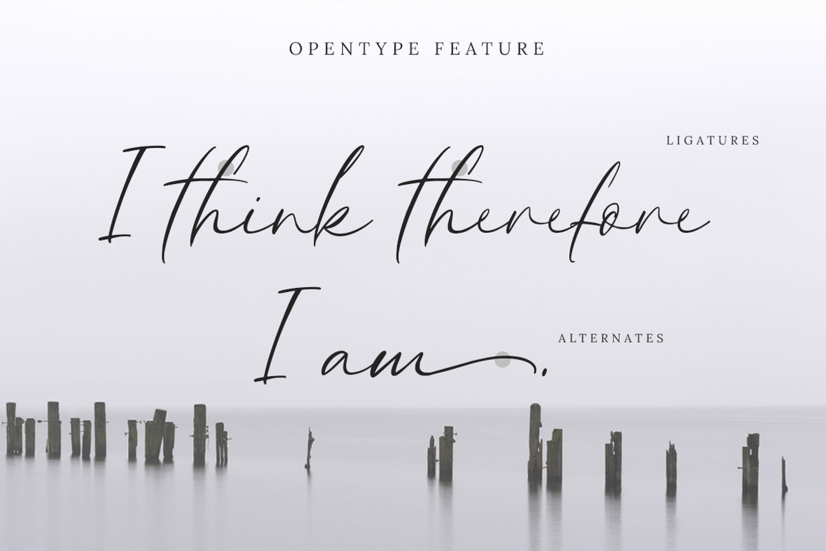 Savannah Signature Script, a Script Font by Creatype Studio (Photo 5 of 9)