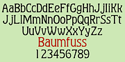 Baumfuss, a Serif Font by Ingrimayne Type (Thumbnail 3 of 7)