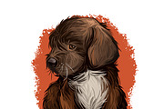Puppies Dog Breeds Big Bundle 135Pcs, an Animal Illustration by Dneprstock (Thumbnail 34 of 68)