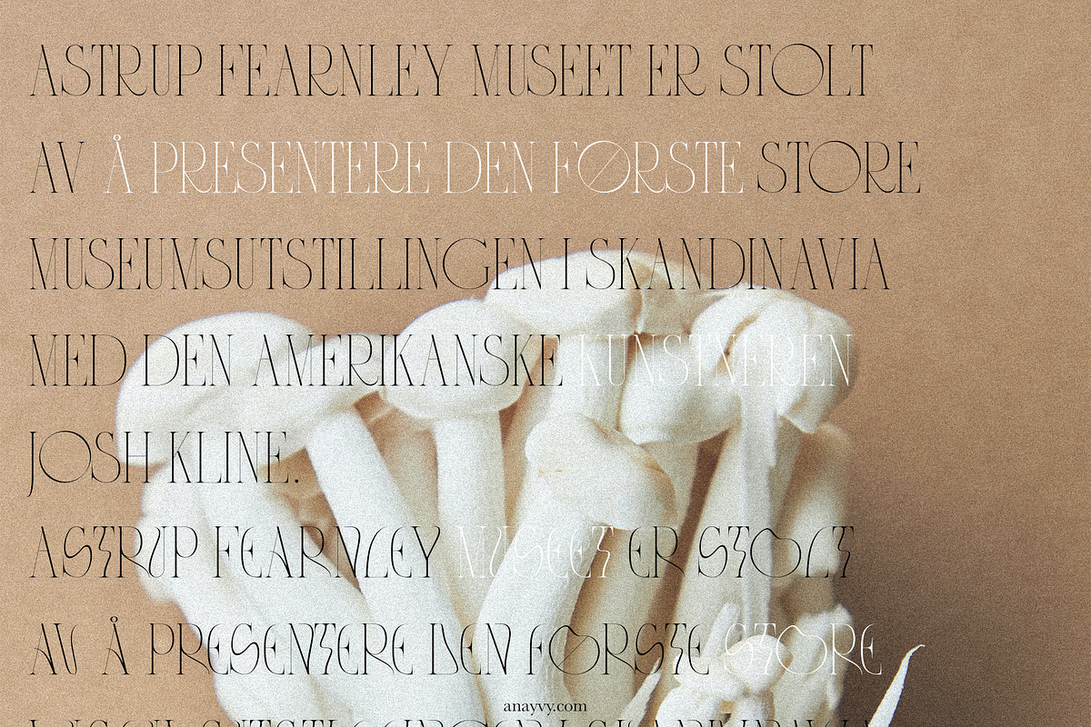 CYTRONI Modern Mix Font Duo, a Serif Font by ana & yvy (Photo 27 of 34)