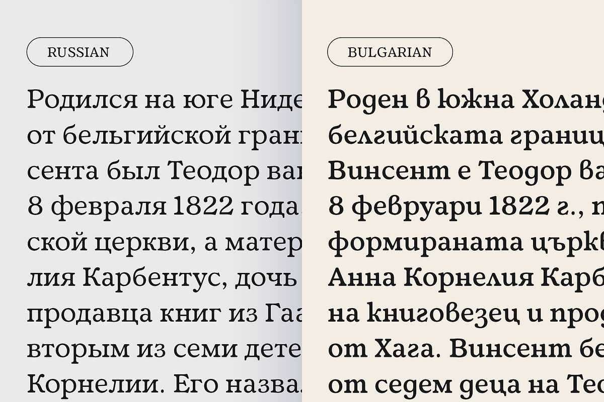 Fedro - 14 Fonts, a Serif Font by Nasir Udin (Photo 16 of 20)