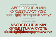 Wavelength Font Family Lite, a Sans Serif Font by Mysterylab Designs (Thumbnail 3 of 5)