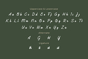 Bashats - Script Monoline Font, a Handwritten Font by twinstd (Thumbnail 4 of 7)