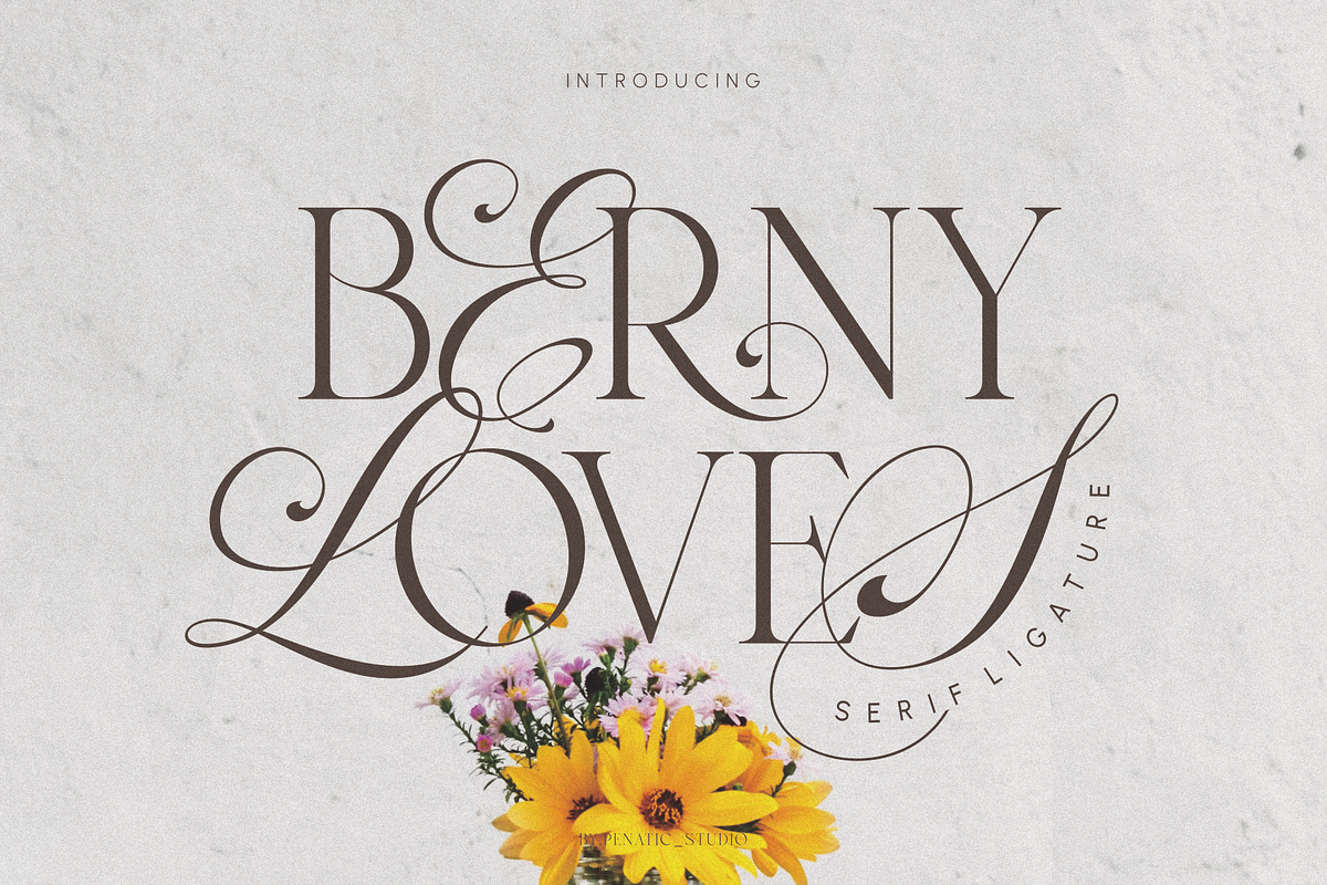 Berny Loves _ Serif Ligature, a Serif Font by Penatic Studio (Photo 1 of 10)