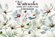 Wedding White Cosmos Flower Clipart, a Decorative Illustration by fashionaddict (Thumbnail 1 of 7)