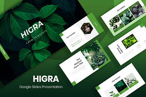 Higra - Google SLides Template