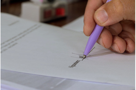 Close-up of male hands with pen over, a Business Photo by Ungvar Studio