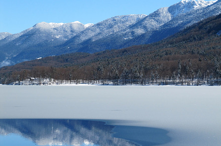 Clear Winter Sky And Forest Stock Photo Containing Winter And Snow preview 6