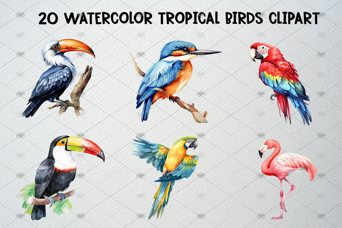 Watercolor Tropical Birds Clipart, an Animal Illustration by CropUp Creative (Photo 3 of 5)