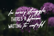 Radiant Blossom - Lovely Combination, a Script Font by ErgibiStudio (Thumbnail 2 of 10)