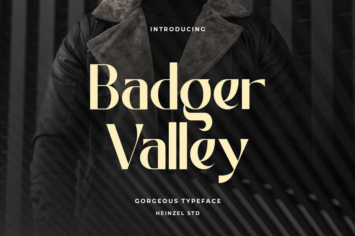 Badger Valley Modern Sans Serif, a Sans Serif Font by Heinzel Std (Photo 13 of 13)
