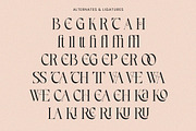 Andriani, a Serif Font by HATFSTUDIO (Thumbnail 9 of 9)
